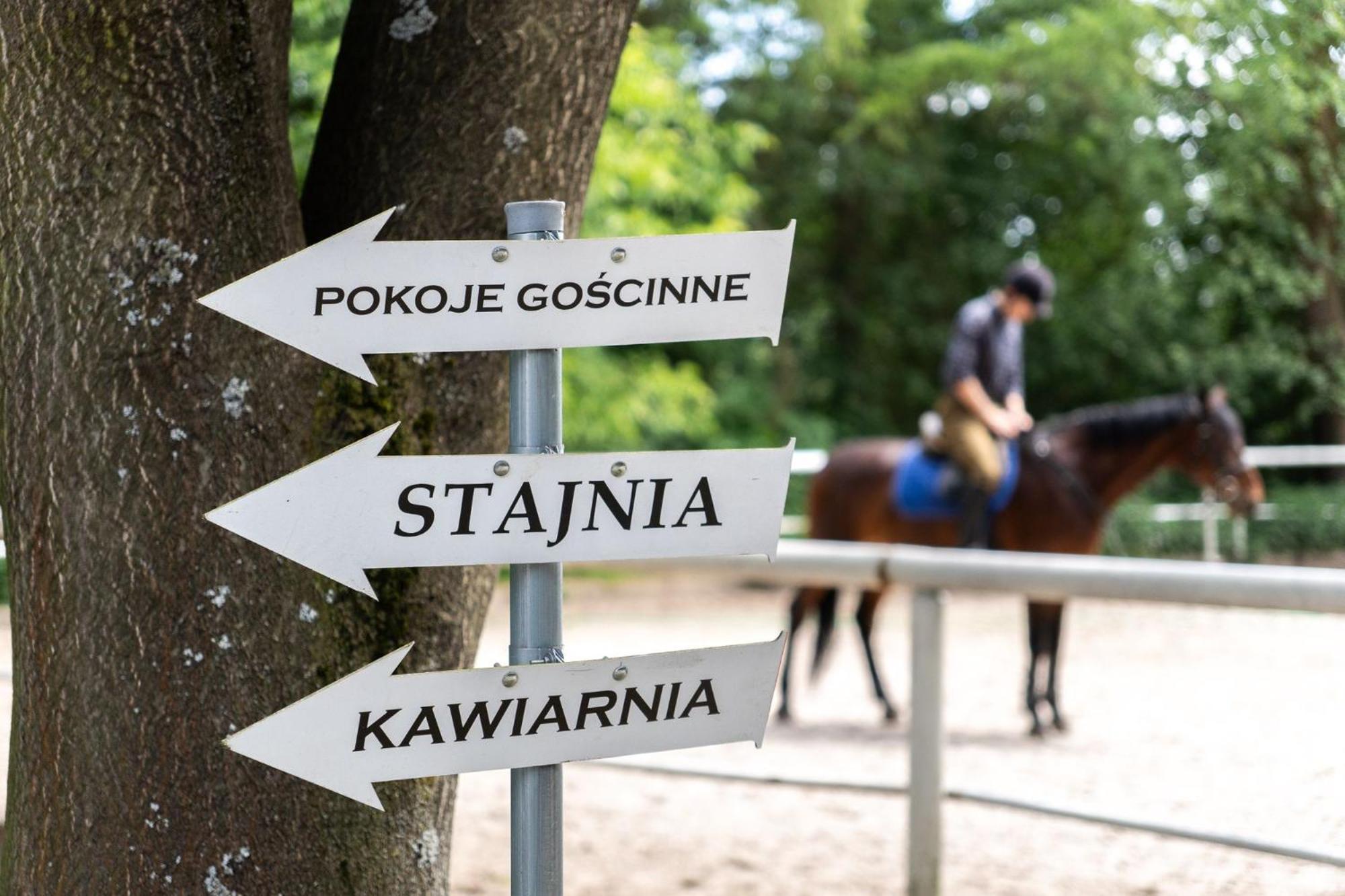 Pokoje Goscinne Cheval Cracovia Exterior foto